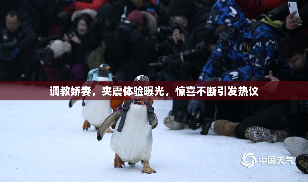 调教娇妻，夹震体验曝光，惊喜不断引发热议