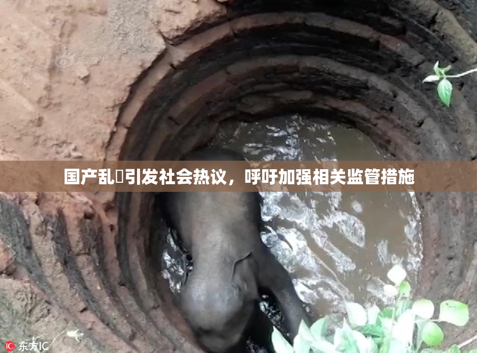 国产乱婬引发社会热议，呼吁加强相关监管措施
