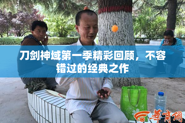 刀剑神域第一季精彩回顾，不容错过的经典之作