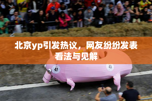 北京yp引发热议，网友纷纷发表看法与见解