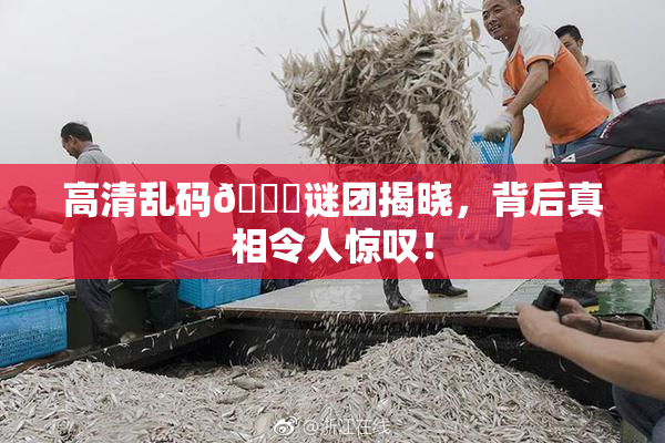 高清乱码🔞谜团揭晓，背后真相令人惊叹！