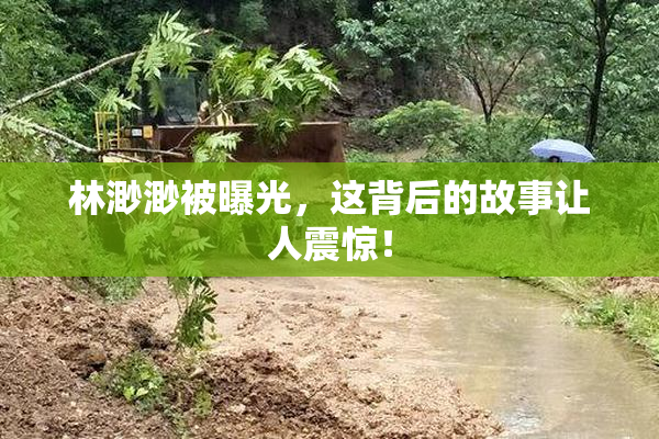 林渺渺被曝光，这背后的故事让人震惊！