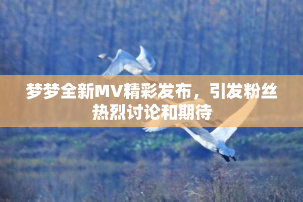 梦梦全新MV精彩发布，引发粉丝热烈讨论和期待