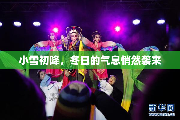 小雪初降，冬日的气息悄然袭来