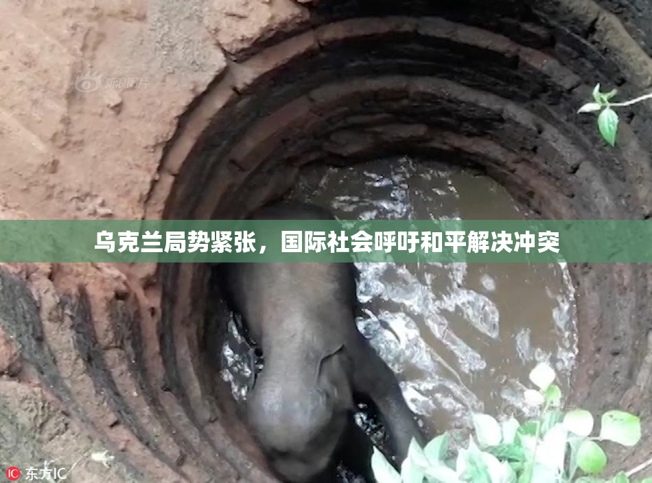 乌克兰局势紧张，国际社会呼吁和平解决冲突