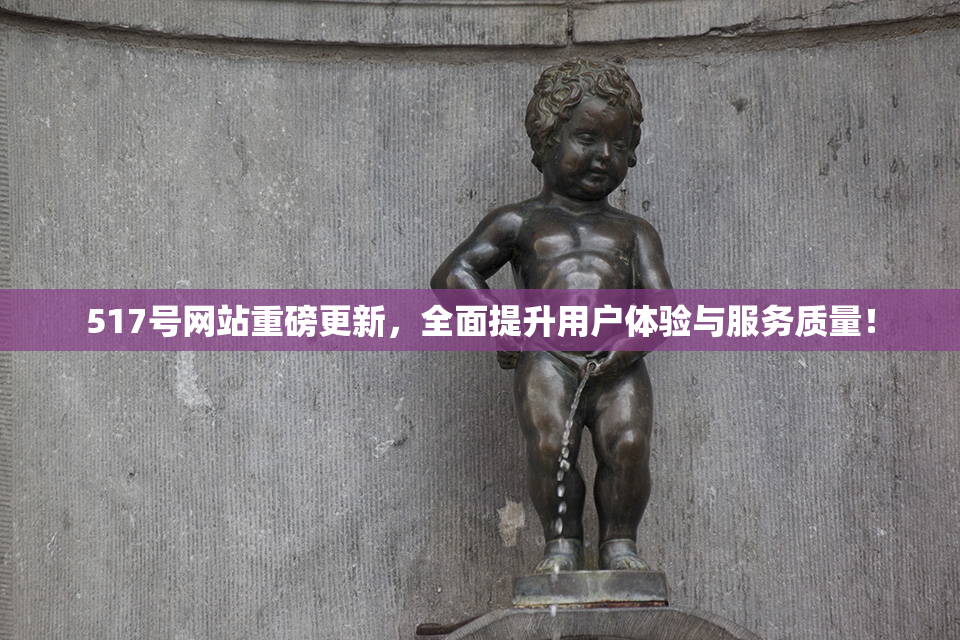 517号网站重磅更新，全面提升用户体验与服务质量！