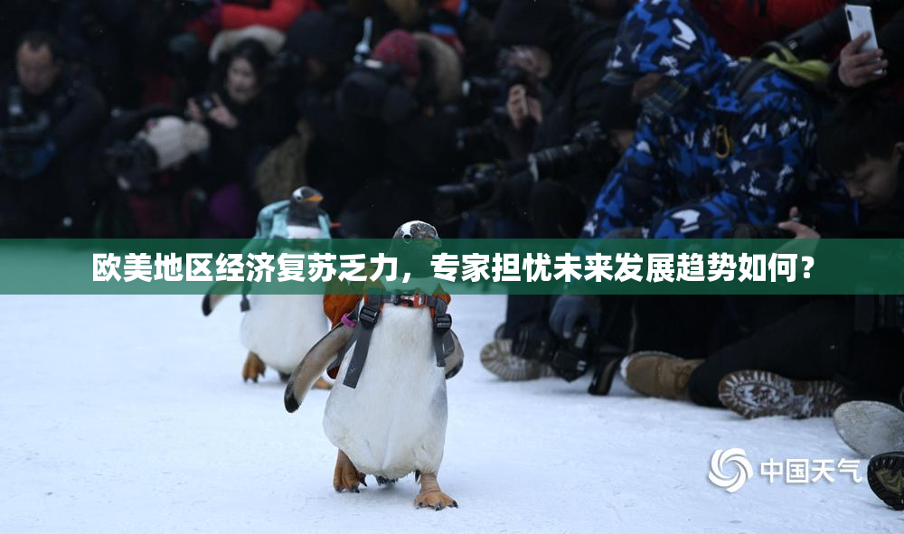 欧美地区经济复苏乏力，专家担忧未来发展趋势如何？