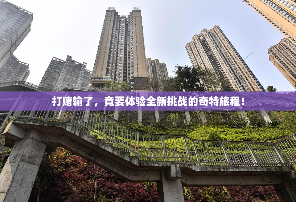 打赌输了，竟要体验全新挑战的奇特旅程！