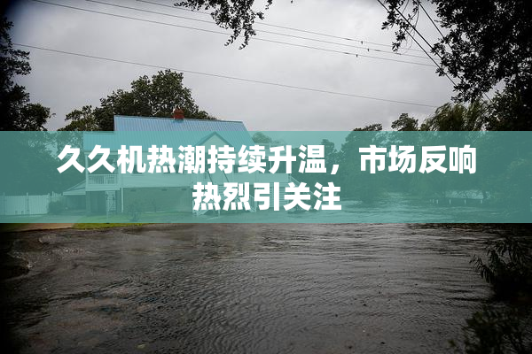 久久机热潮持续升温，市场反响热烈引关注