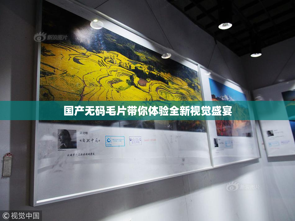 国产无码毛片带你体验全新视觉盛宴