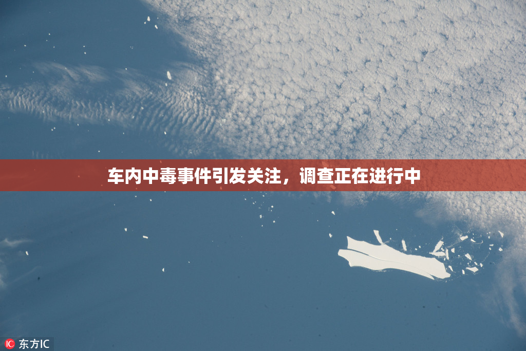 车内中毒事件引发关注，调查正在进行中