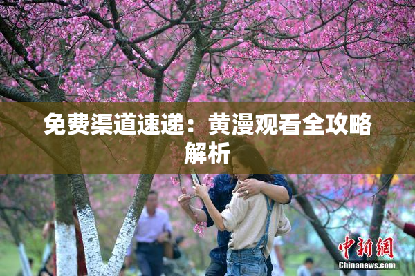 免费渠道速递：黄漫观看全攻略解析