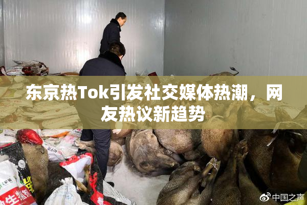 东京热Tok引发社交媒体热潮，网友热议新趋势