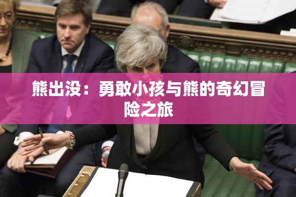熊出没：勇敢小孩与熊的奇幻冒险之旅