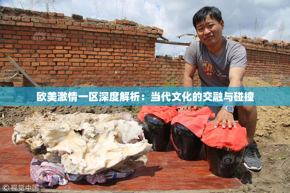 欧美激情一区深度解析：当代文化的交融与碰撞