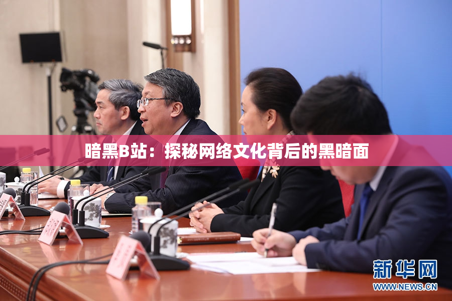 暗黑B站：探秘网络文化背后的黑暗面