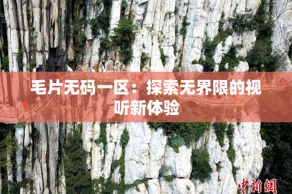 毛片无码一区：探索无界限的视听新体验