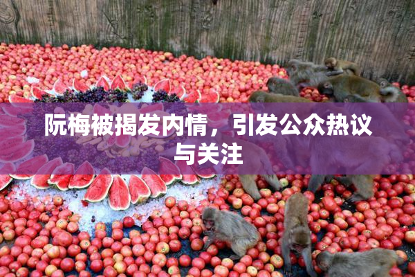 阮梅被揭发内情，引发公众热议与关注