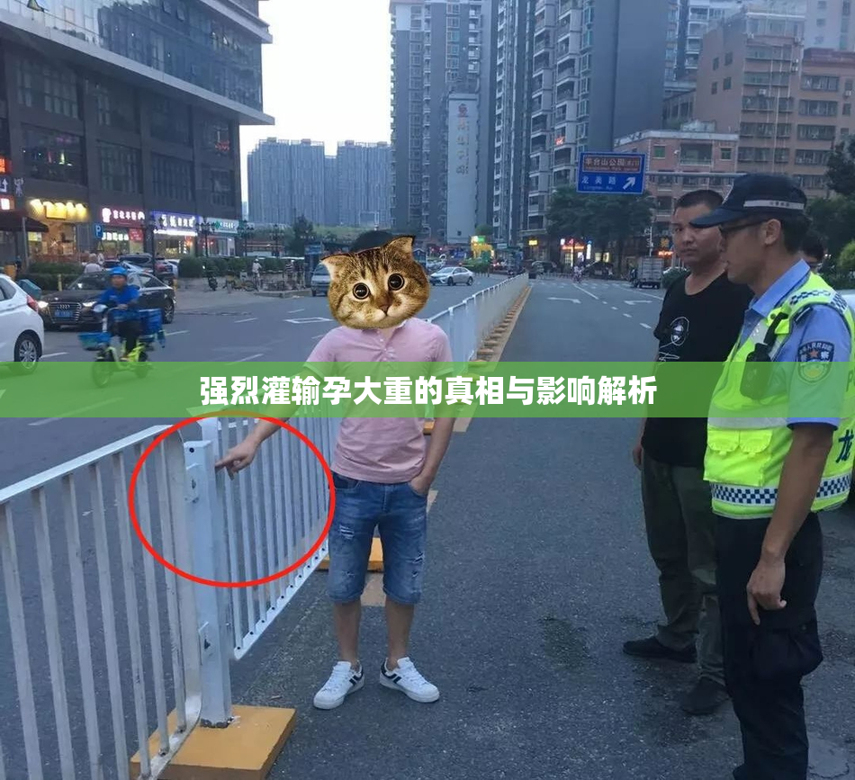 强烈灌输孕大重的真相与影响解析