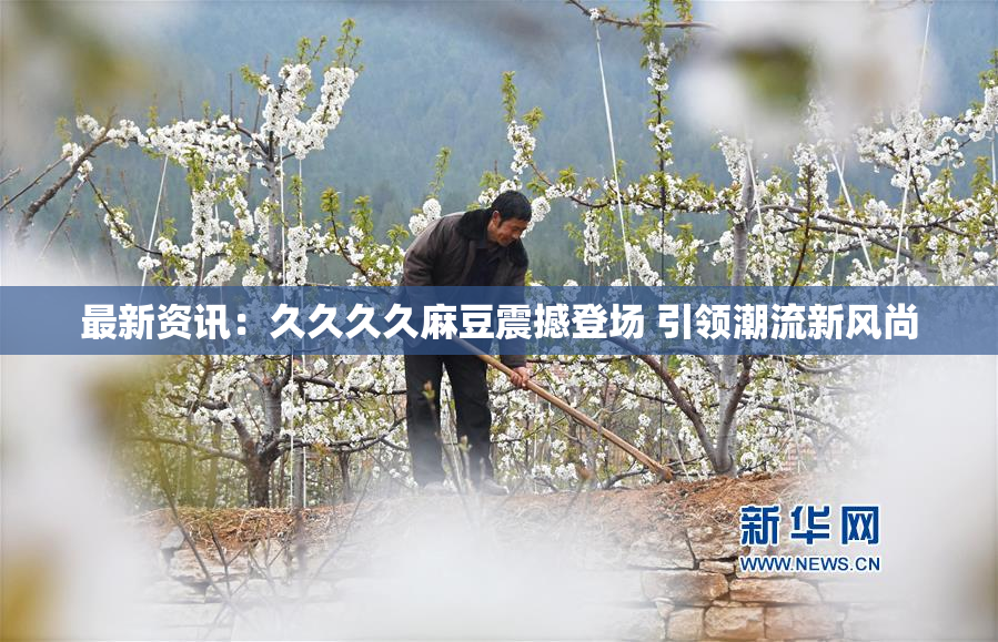最新资讯：久久久久麻豆震撼登场 引领潮流新风尚