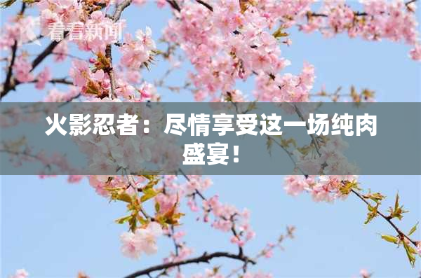 火影忍者：尽情享受这一场纯肉盛宴！