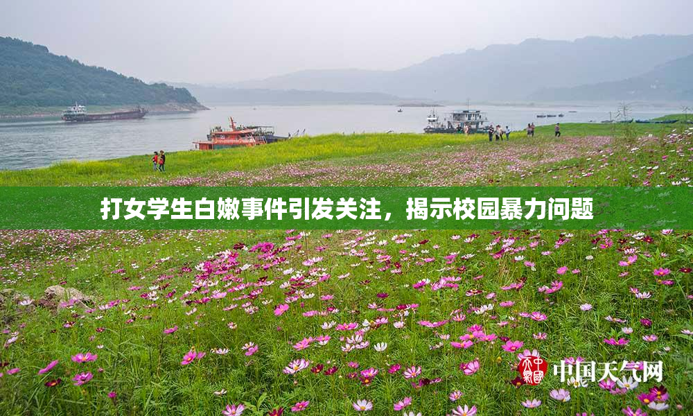 打女学生白嫩事件引发关注，揭示校园暴力问题