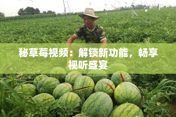 秘草莓视频：解锁新功能，畅享视听盛宴