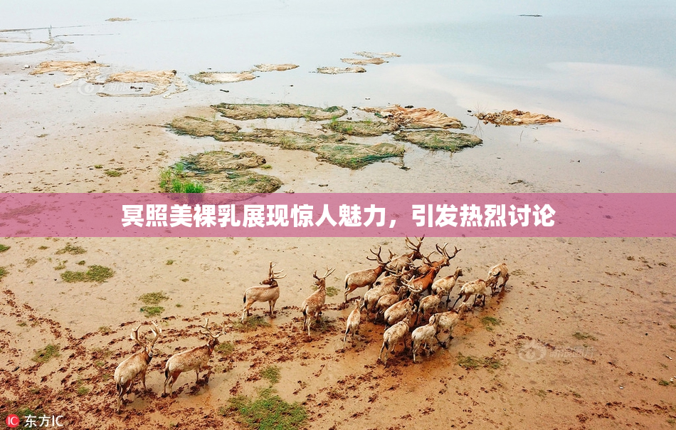 冥照美裸乳展现惊人魅力，引发热烈讨论