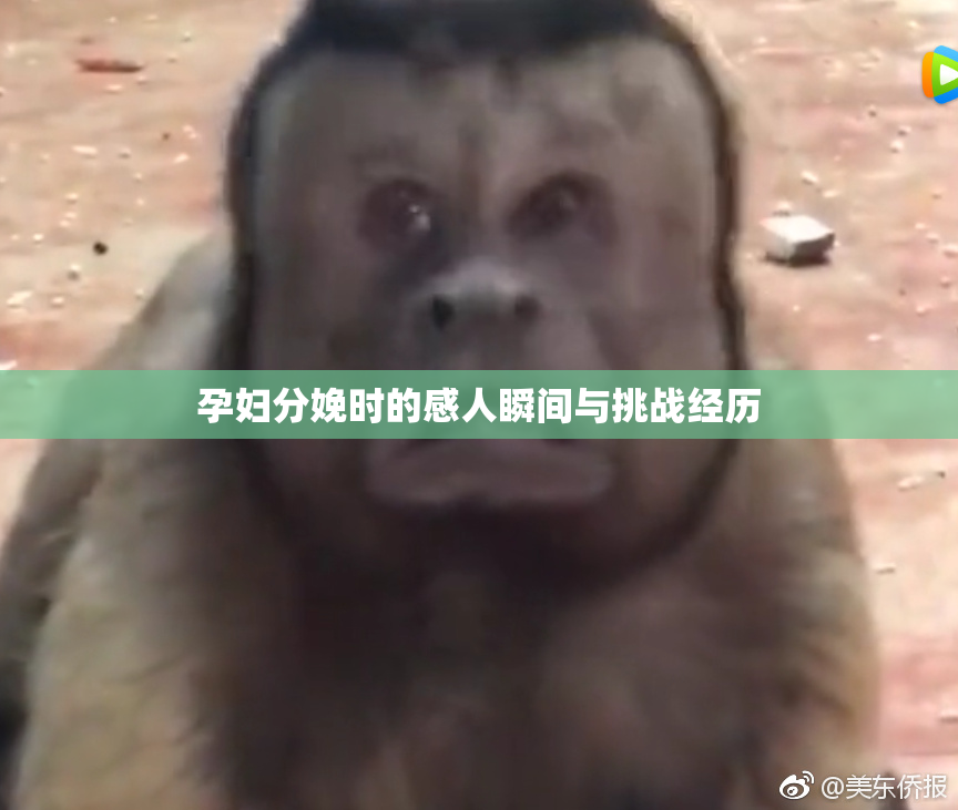 孕妇分娩时的感人瞬间与挑战经历