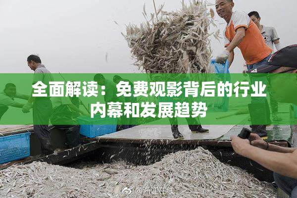 全面解读：免费观影背后的行业内幕和发展趋势