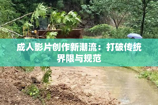 成人影片创作新潮流：打破传统界限与规范