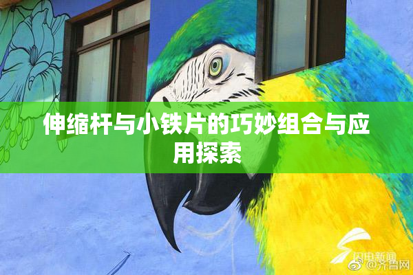 伸缩杆与小铁片的巧妙组合与应用探索