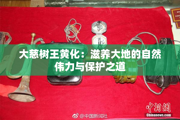 大慈树王黄化：滋养大地的自然伟力与保护之道