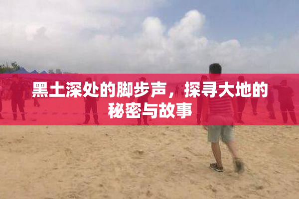 黑土深处的脚步声，探寻大地的秘密与故事