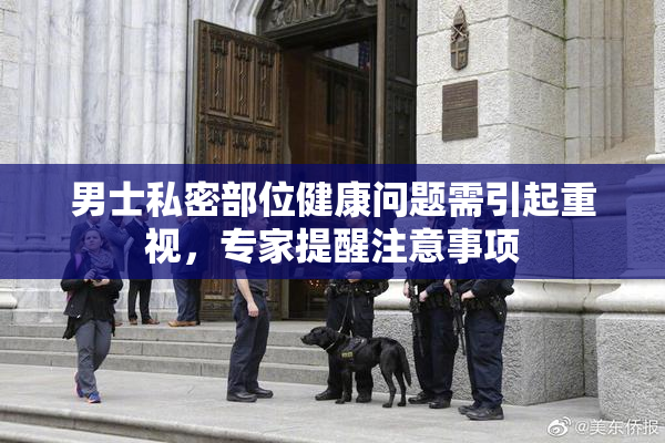 男士私密部位健康问题需引起重视，专家提醒注意事项