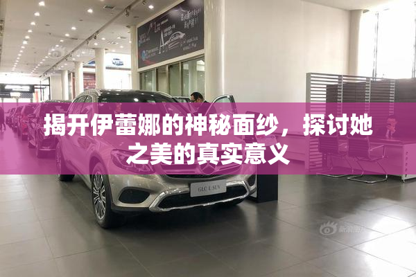揭开伊蕾娜的神秘面纱，探讨她之美的真实意义