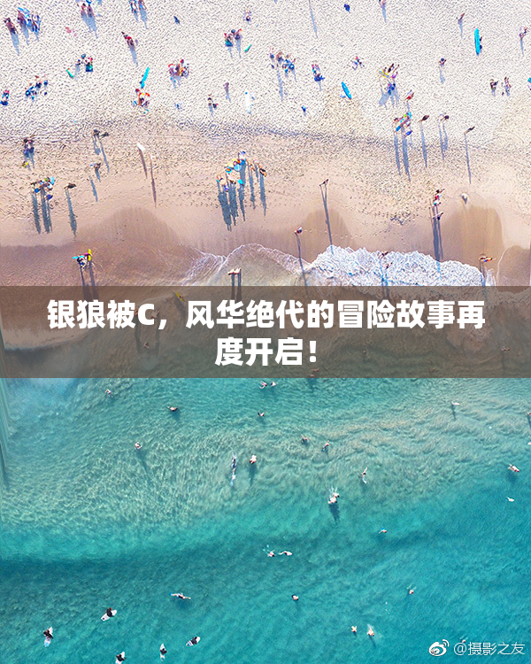 银狼被C，风华绝代的冒险故事再度开启！