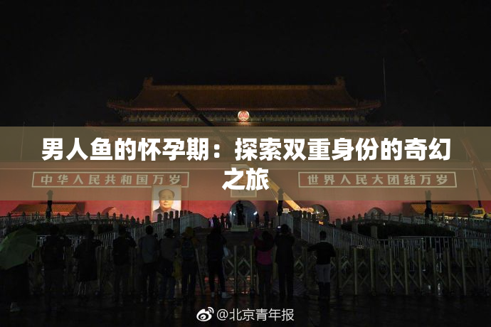 男人鱼的怀孕期：探索双重身份的奇幻之旅