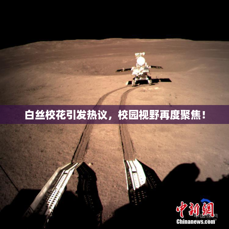 白丝校花引发热议，校园视野再度聚焦！