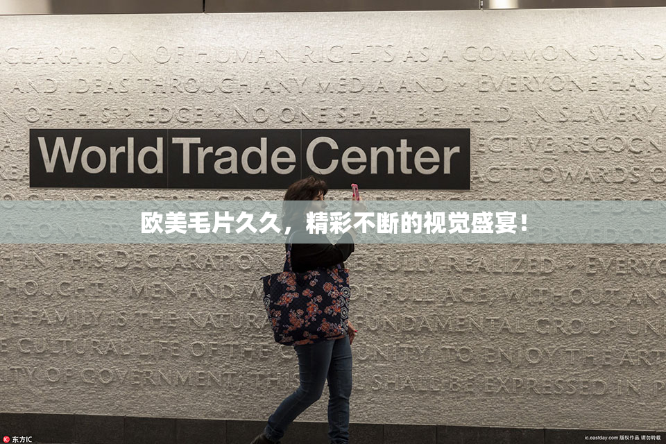 欧美毛片久久，精彩不断的视觉盛宴！