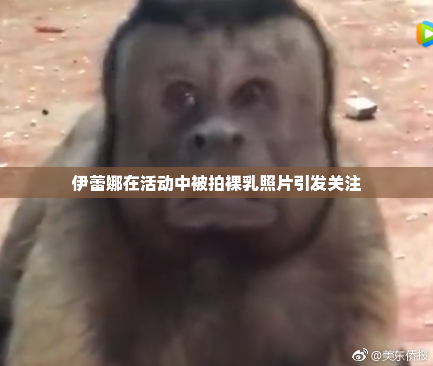 伊蕾娜在活动中被拍裸乳照片引发关注