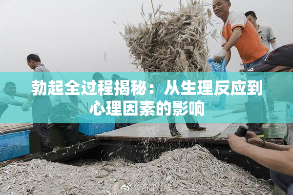 勃起全过程揭秘：从生理反应到心理因素的影响