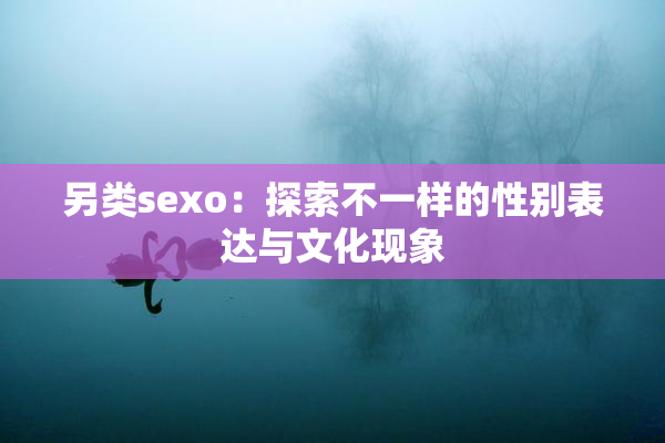 另类sexo：探索不一样的性别表达与文化现象