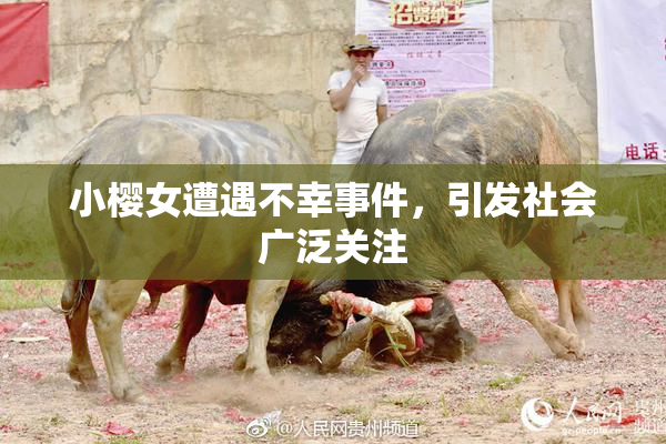 小樱女遭遇不幸事件，引发社会广泛关注
