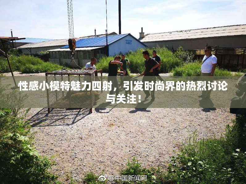 性感小模特魅力四射，引发时尚界的热烈讨论与关注！