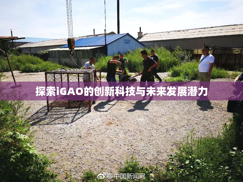 探索iGAO的创新科技与未来发展潜力
