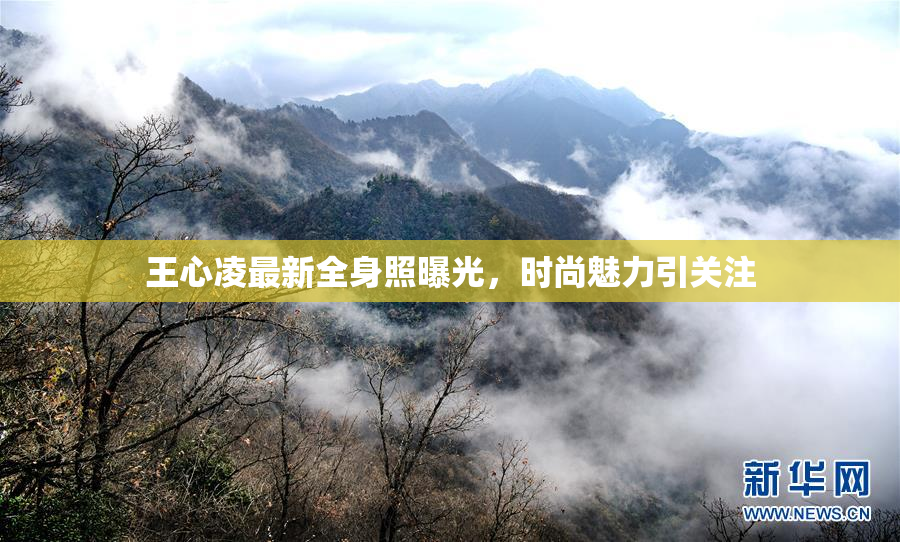王心凌最新全身照曝光，时尚魅力引关注