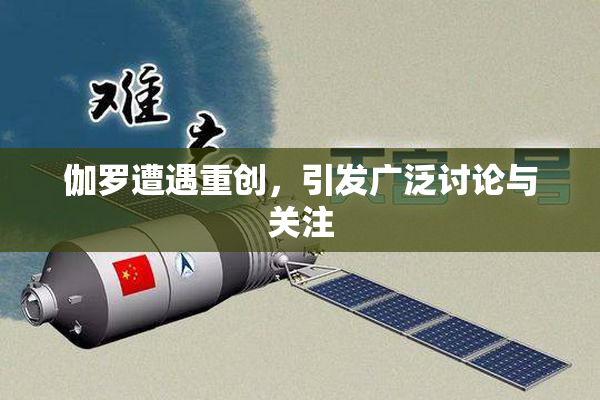 伽罗遭遇重创，引发广泛讨论与关注