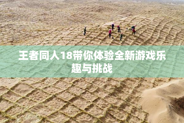 王者同人18带你体验全新游戏乐趣与挑战