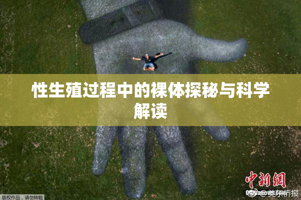 性生殖过程中的裸体探秘与科学解读